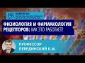 Профессор Лебединский К.М.: Физиология и фармакология рецепторов: как это работает?
