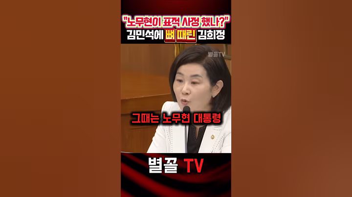 청문회8 "표적 사정? 노o현 정권에 당했어?" 뼈 때린 김희정 #김희정 #국민의힘 #정치 #보수 #청문회