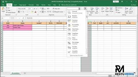 PROGRAM IPOS 5   Import Data Pelanggan Dari Excel | iPos 5 | All Edition