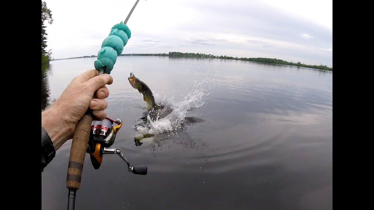 Madawaska River PIKE DESTROYED MY HOOK! YouTube