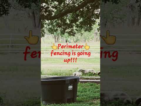Livestock fence!!