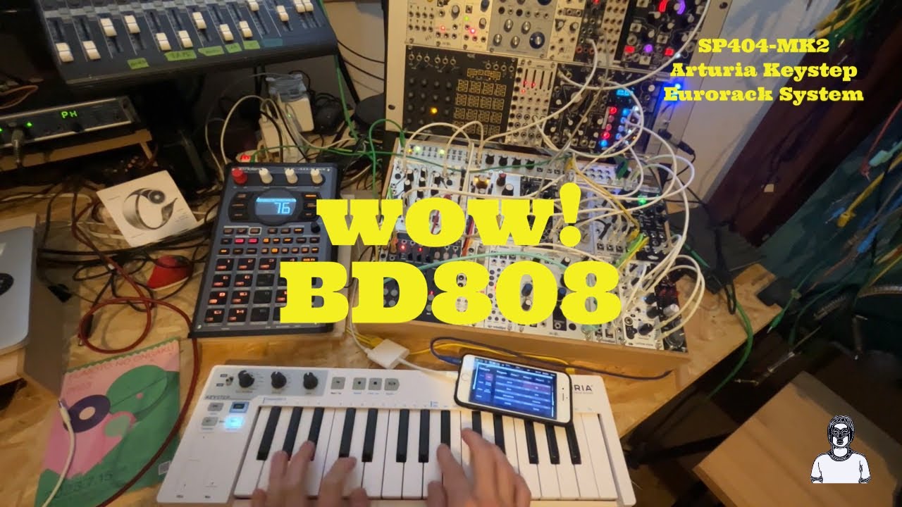 wow! BD808 / Modularsynth /Ambient Techno / chill/ SP404 MK2 