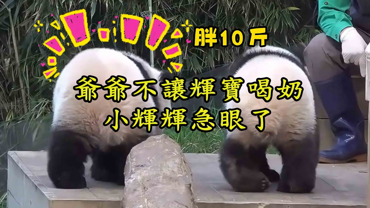 最烦周深这种人！开口前什么“都不会”，拿了话筒就像练了80多年！