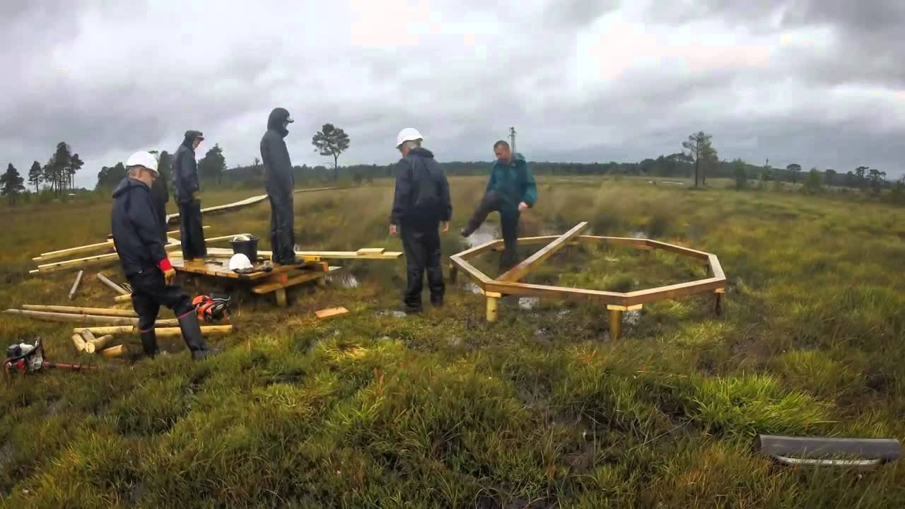 video phone beyonce mp3 Thursley NNR Boardwalk Construction