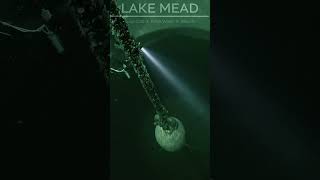 Intake 2 #underwater #divng #nature #wildlife #lakemead #insta360