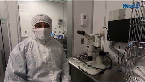 By Your Side with Analytical Solutions From West - Particle Analysis with USP Chapter 788: Method 2