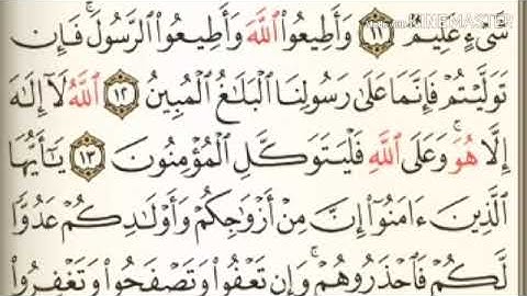 سورة التغابن   من آية  ١٠  إلى آخرها آية  ١٨    للقارئ    عبدالباسط عبدالصمد