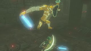 D Moblin Picks Up The Fully Powered Master Sword - Zelda Breath Of The Wild