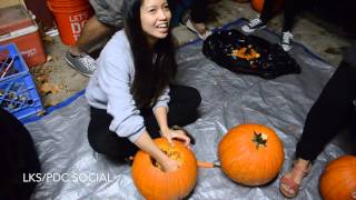 Lambda Kappa Sigma Recruitment Fall 2015