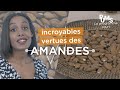 Noix amandes les fruits  coques  intrts pour une meilleure sant pums