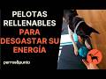 Pelotas rellenables para gastar su energía