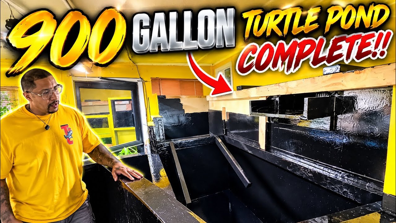 I FINALLY DID IT!! MY 900 GALLON MONSTER TURTLE POND IS COMPLETE!! 😱🐢�