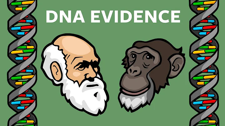 DNA Evidence That Humans & Chimps Share A Common Ancestor: Endogenous Retroviruses - DayDayNews