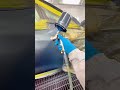 Professional Paint Job #satisfying #asmr #car #truck #painting #fyp