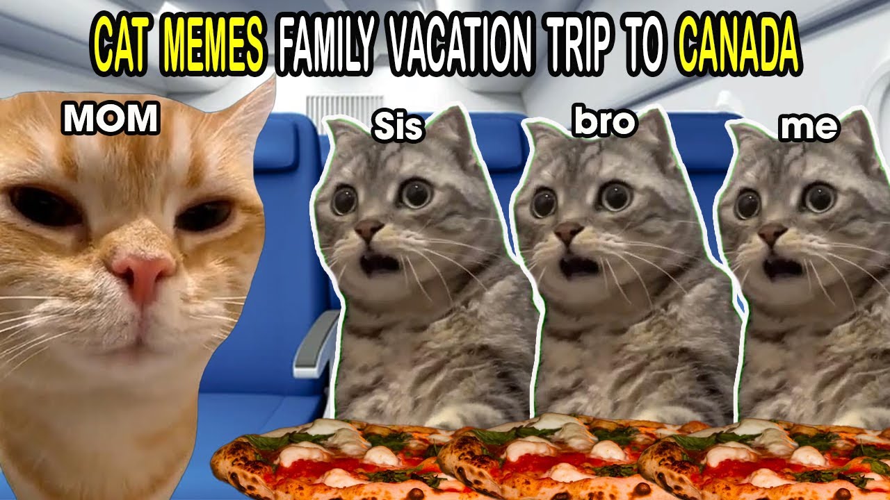 CAT MEMES Family Vacation Trip To CANADA