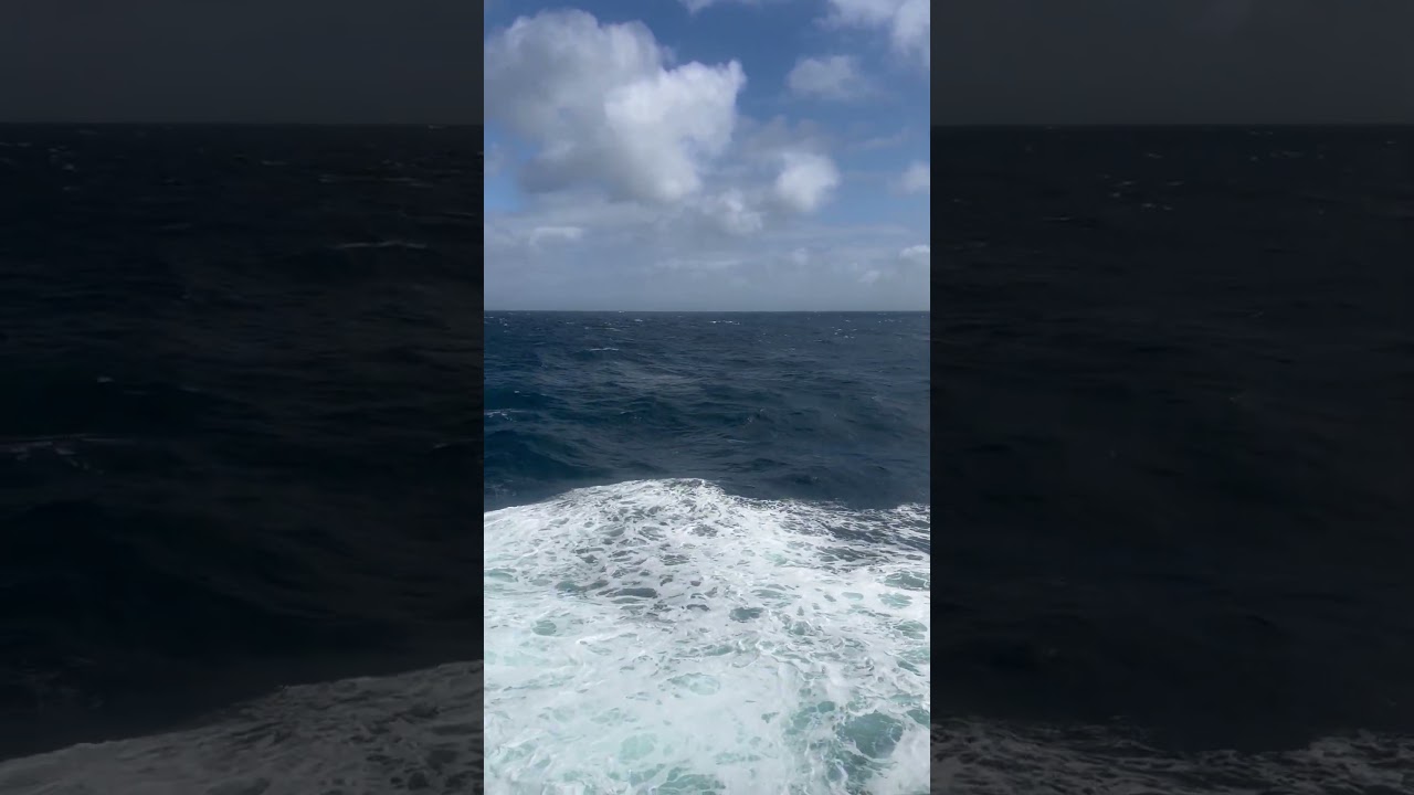 Day 17 at sea #holiday #shortvideo #cruiseship ￼
