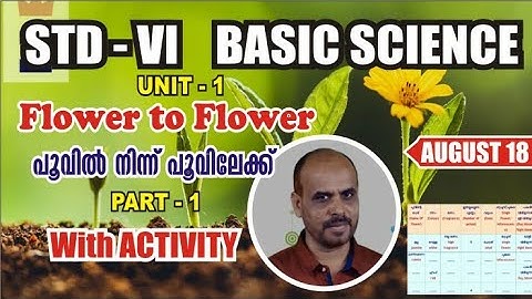 VICTERS|STD6|BASIC SCIENCE|FLOWER TO FLOWER|POOVIL NINN POOVILEKK|AUG 18|activities|QUESTIONS|