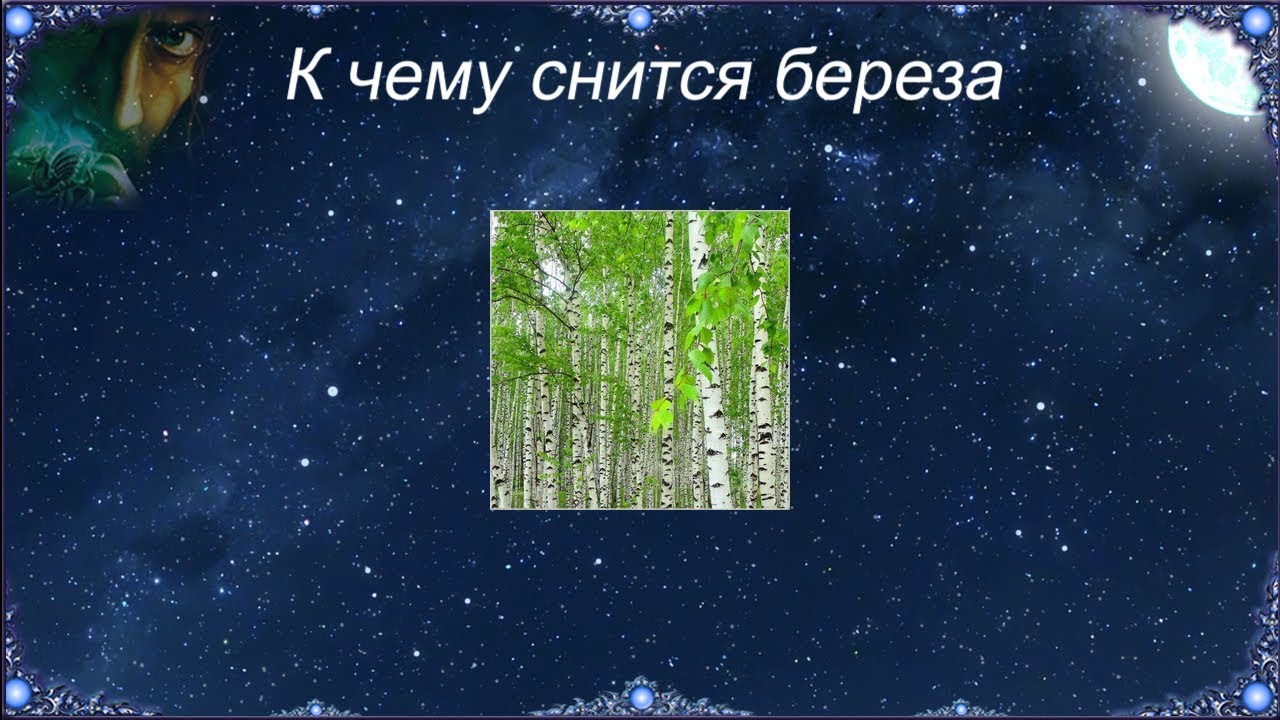 К чему снится Береза (Сонник)