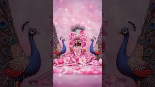 Jai Jammed Ji🌺🙏🌺#puri #jagannath #jagannathtemple #bageshwardhamsarkar #premanandjimaharaj