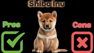 The Pros and Cons of Owning a Shiba Inu: Is This Breed Right for You? by ANIMAL LYFE 69 views 3 months ago 4 minutes, 20 seconds