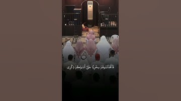 تلاوة عطرة القرآن الكريم مع الشيخ أنس العمادي 🌿