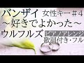 【女性が歌う】「バンザイ ~好きでよかった~」- ウルフルズ(歌詞付きフル)Banzai - ulfuls・Cover by 巴田みず希(ともだみずき) with subtitles +4
