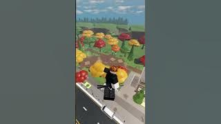 😈😈 #roblox #evade #robloxevade