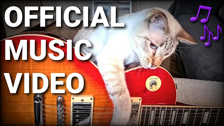 Video 5377361: lynx point siamese cat, cat enjoy playing, kitty