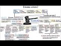 JUZGADOS Y TRIBUNALES: ORGANIZACIÓN DEL PODER JUDICIAL