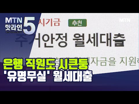 은행 직원도 시큰둥 유명무실 월세대출 머니투데이방송 뉴스 