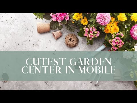 Blair's Garden Center Field Trip | Catherine Arensberg
