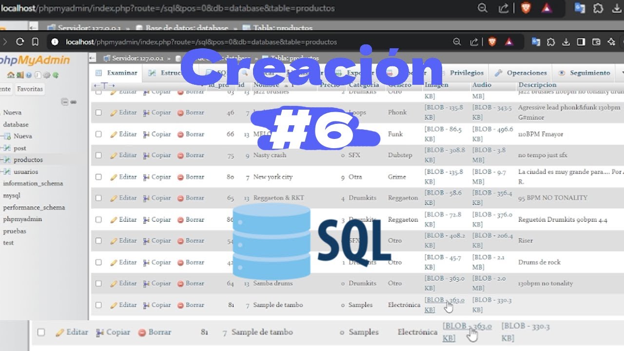 Tratando de explicar SQL y demostrando una base de datos de un proyecto ...