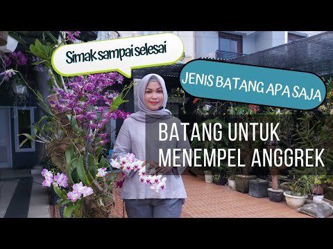 Video: Anggrek Telah Pudar: Apa Yang Harus Dilakukan Seterusnya, Termasuk Dengan Anak Panah