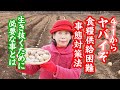 ４月１日からヤバイ！食糧供給困難事態対策法
