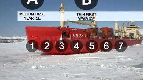 The Polar Code