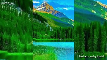 المصحف المرتل للشيخ رشيد بلعشية ((سورة المائدة))