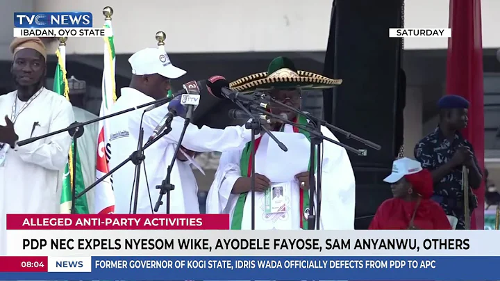 PDP NEC Expels Nyesom Wike, Ayodele Fayose, Sam Anyanwu, Others