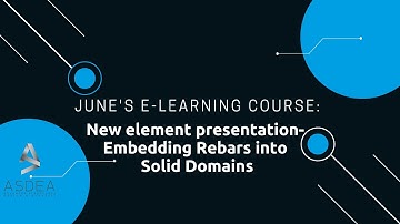 New element presentation- Embedding Rebars into Solid Domains