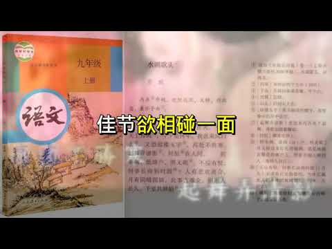 201909 但愿人长久 粤语版 笨小孩 原创MV