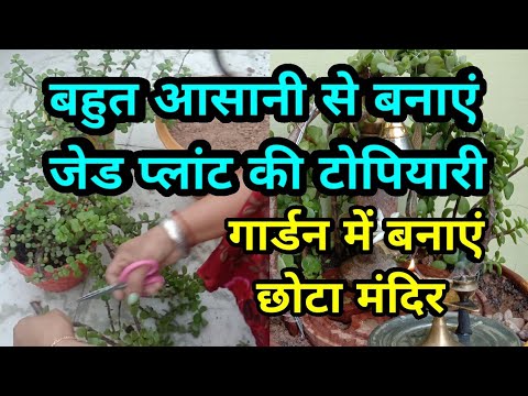 वीडियो: Topiary, घर और उद्यान सजावट के लिए छंटनी सजावटी पौधों का उपयोग