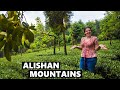 Taiwan ROAD TRIP: Alishan National Park Will Blow You Away! (Taiwan Vlog)