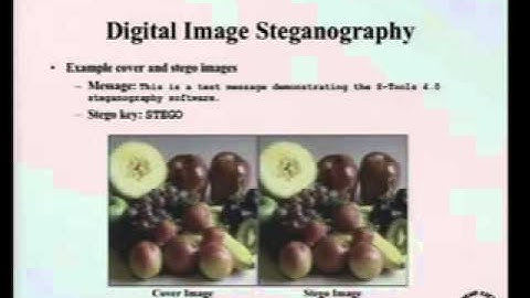 Security: Content Protection and Sensor Forensics