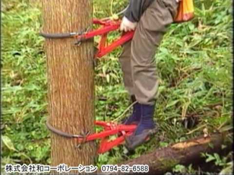 木登り器　与作 Climb a Tree