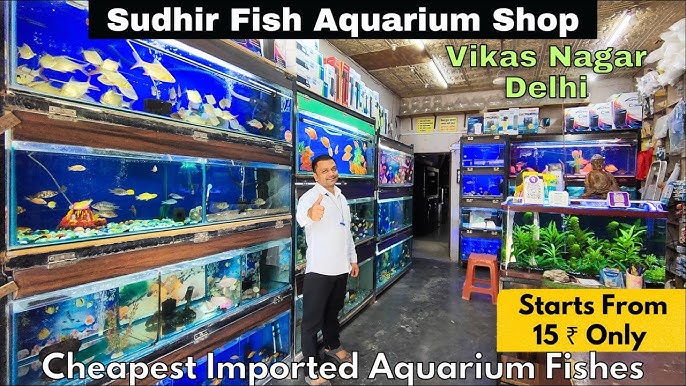 All Aquarium Accessories at Sudhir Fish Aquarium Shop Vikas Nagar Uttam  Nagar New Delhi 