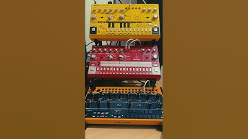 Behringer TD-3, RD-6 and Crave ⚡️🤖 #behringer #behringercrave #td3 #rd6 #synth #jam #dawless #acid