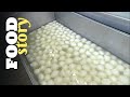 Les secrets de la mozzarella di buffala