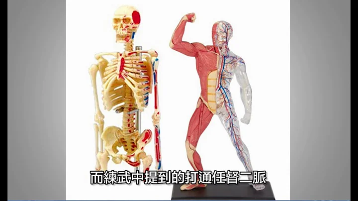 【创科全书】 任督二脉系乜嘢 - 天天要闻