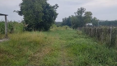 Bán đất Mt Tỉnh Lộ 15 tuyệt đẹp xã Nhuận Đức Củ Chi 1536m