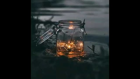 صوت يبكي الحجر أجمل حالات واتس اب قرآن كريم