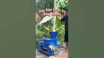 Chắc chắn đây là chiếc Máy băm chuối đa năng giá rẻ mà mang lại hiệu quả cực cao